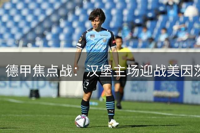 德甲焦点战：汉堡主场迎战美因茨 法兰克福力争连胜
